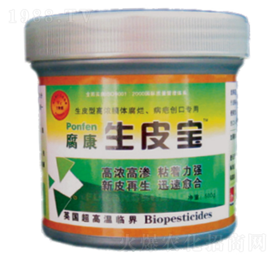 ������Ƥ��-���Z�S