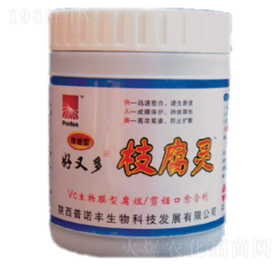 ���ֶ�֦���`-���Z�S