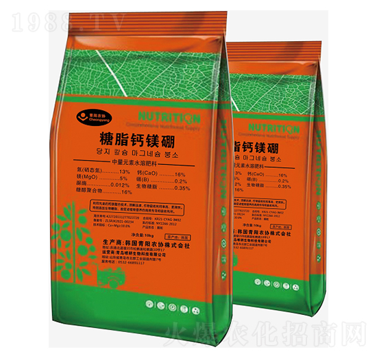 ��֬�}�V��-���ֺ�