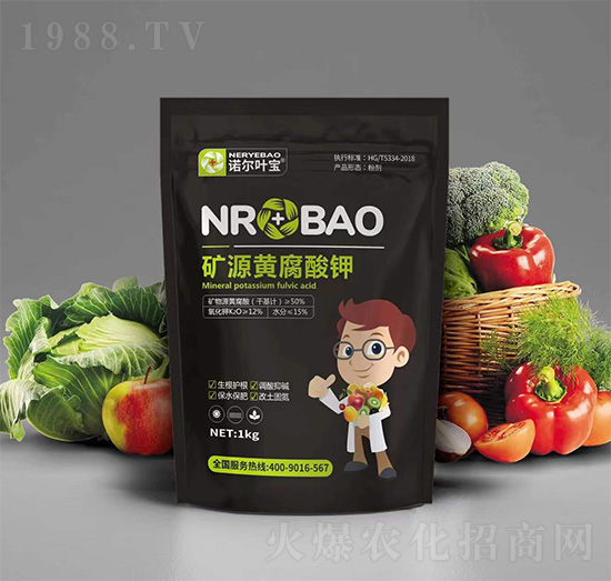 �VԴ�S�����-�Z���~��-�Z���S