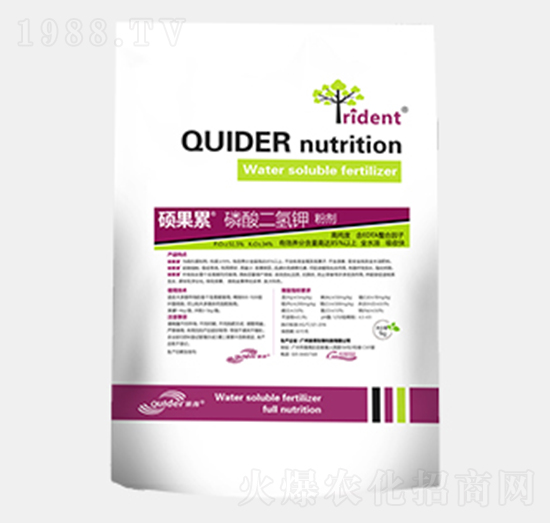 ��������-�T����-��������