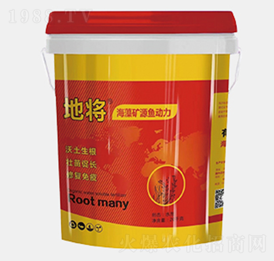 ����VԴ�~����-�،�-��������