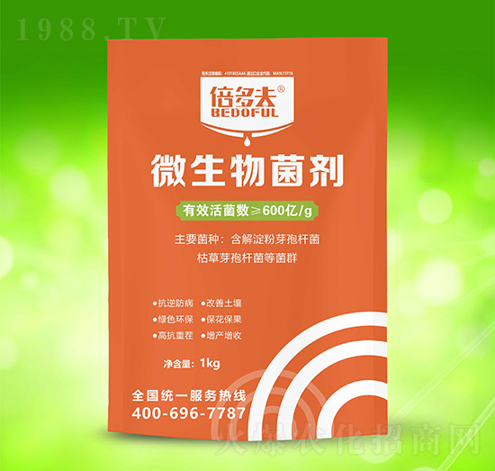 600�|΢�������-�����