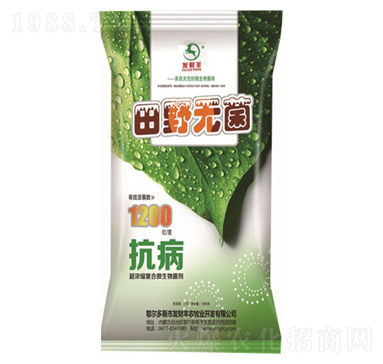 ����s��(f��)��΢�������-��Ұ�o��-�l(f��)ؔ(c��i)��