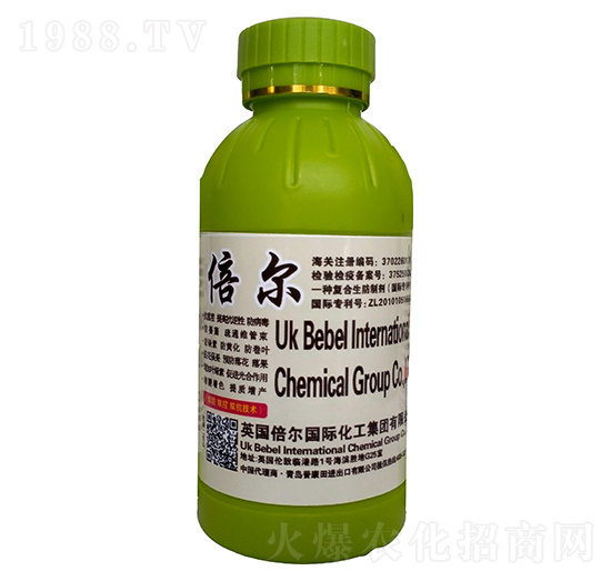 �����������-�տ���