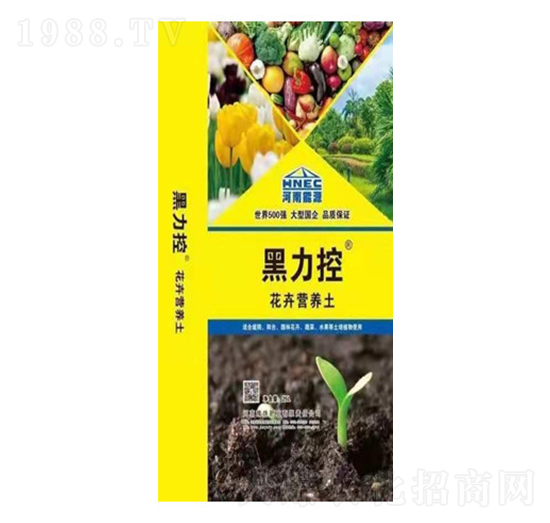 ���ܠI�B(y��ng)��-������-ԥ��ʘI(y��)