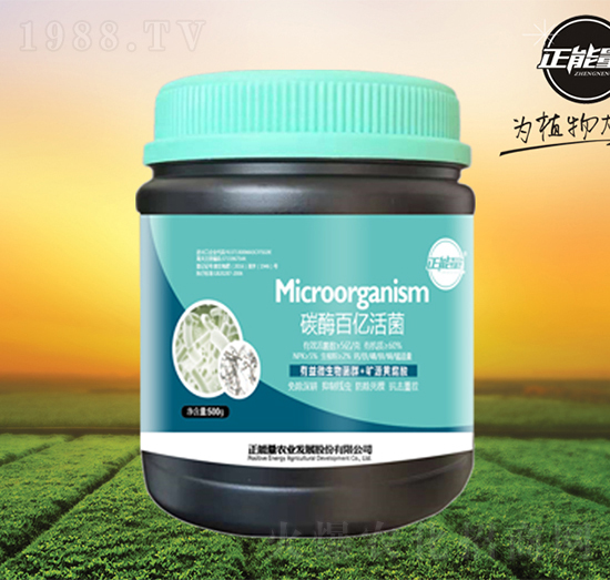 ̼ø�ك|���-������