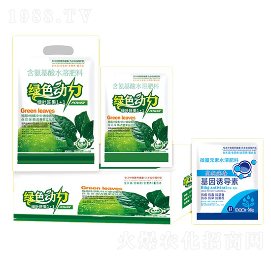 �Gɫ����+�����T��(d��o)��-�ֵϾ�