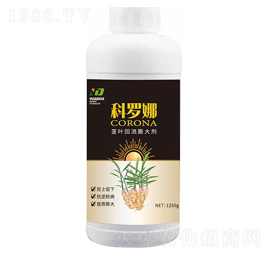 �o�~�������-���_��-����r(n��ng)��