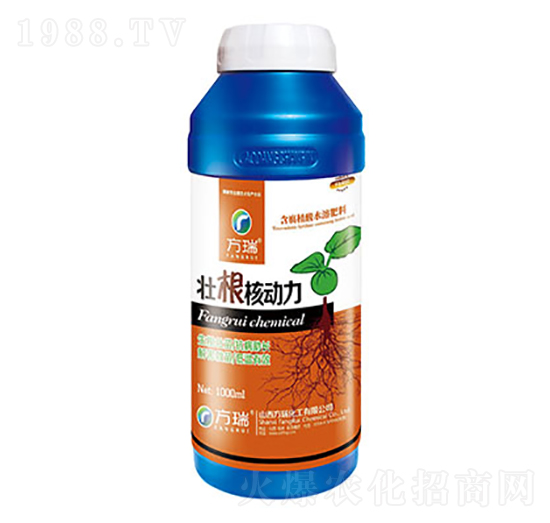 壯根核動力-方瑞