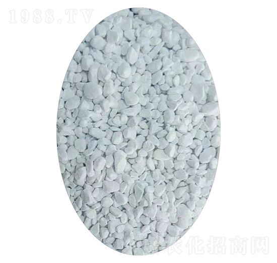 ⛷��w��-�A�I(y��)⛷�