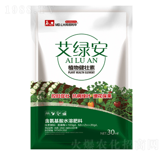 ֲ�｡����-���G��-������A