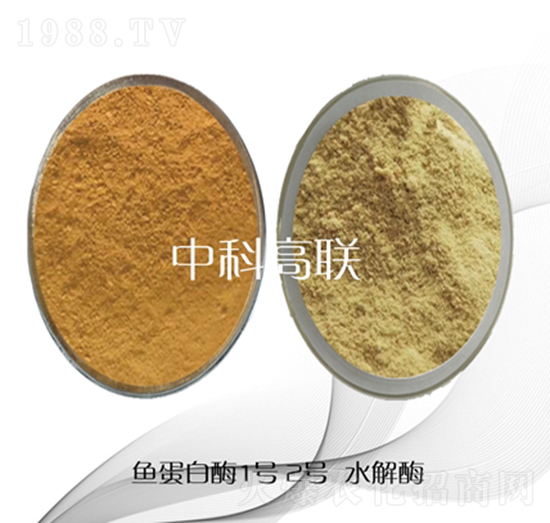 �~(y��)����ˮ��ø-�пƸ�(li��n)