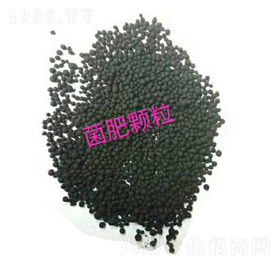 �����w��-܊�x����