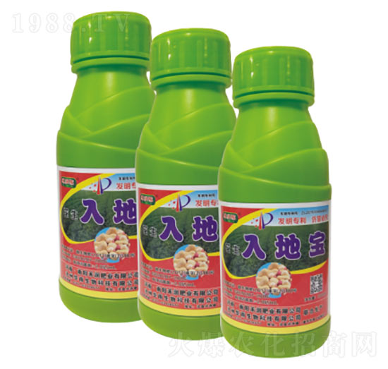 ������،�-�̝�(r��n)�ʘI(y��)