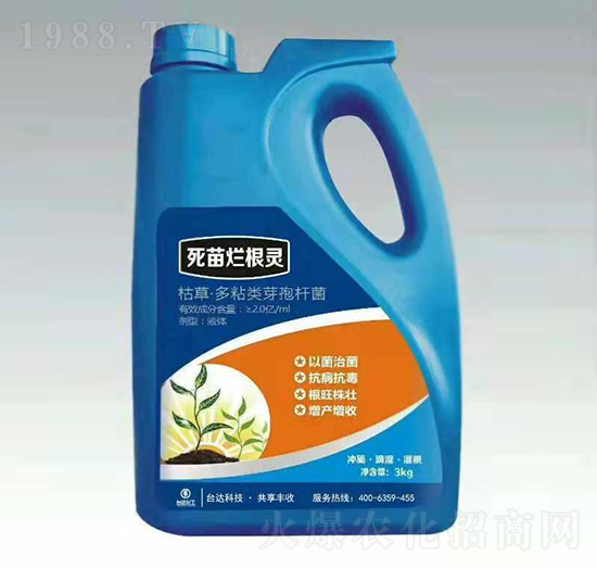 ���砀���`-�_�_(d��)�ʘI(y��)