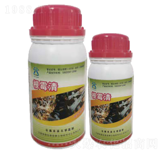 ����ù��������-��ù��2̖-���~�ɷ�