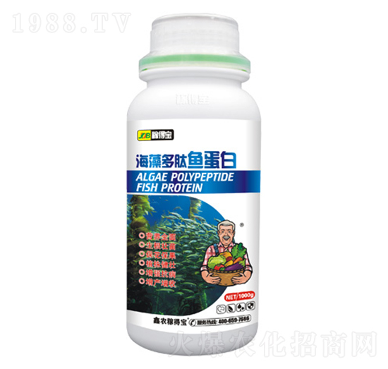 ��������~����-�ڵÌ�����