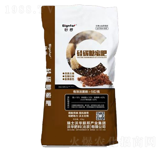 ��̼���۷�-���A����