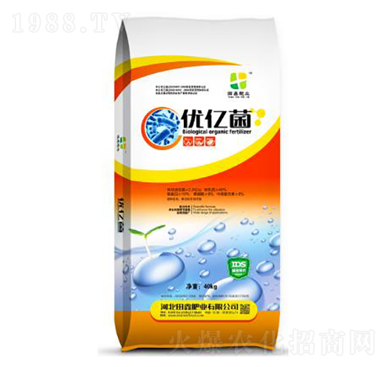 40kg��(y��u)�|��-���ηʘI(y��)