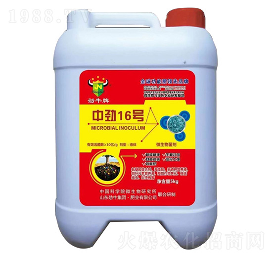 �Є�16̖(h��o)΢�������-��ţ