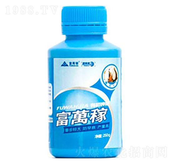 �޻���(zhu��n)���~���-���f(w��n)�