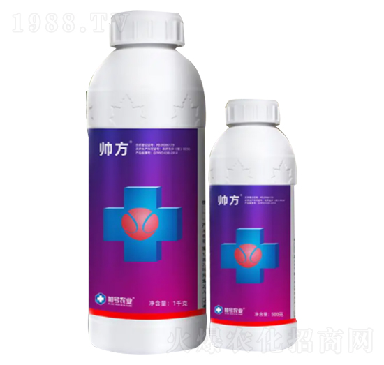 40%���١�������-����-��̖(h��o)�r(n��ng)�I(y��)