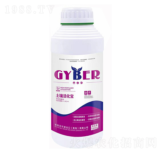 ΢�������-�������-�ȃ�(y��u)ؐ��