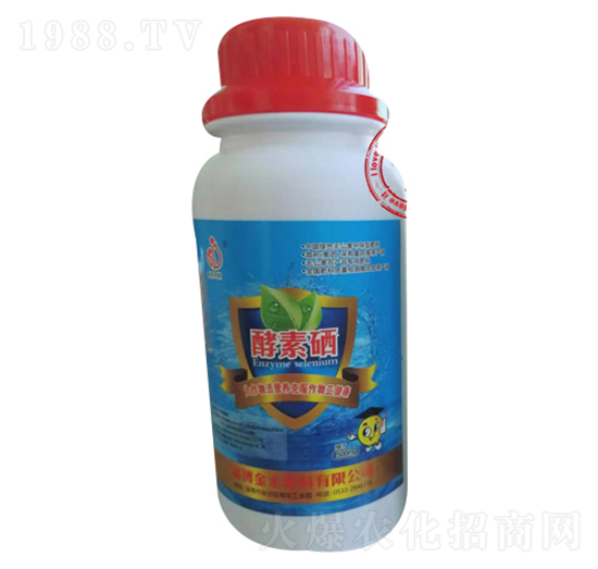 ������-���