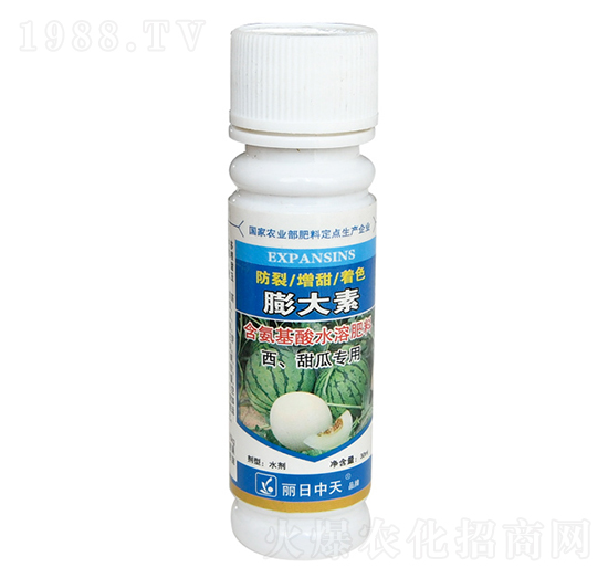 ���ϡ���ό���-���������-����ʘI(y��)