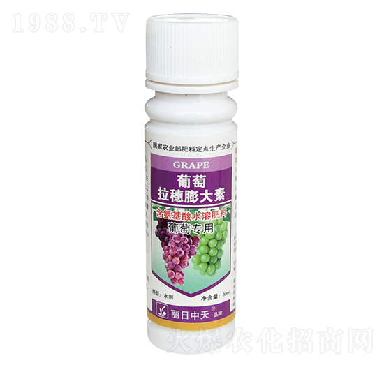 �������������-����ʘI(y��)