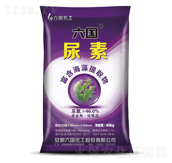 ����-�~�����F