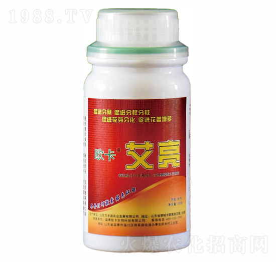 ����-�W������