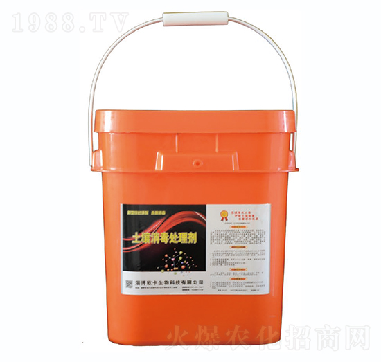 ��������̎�턩-�W������