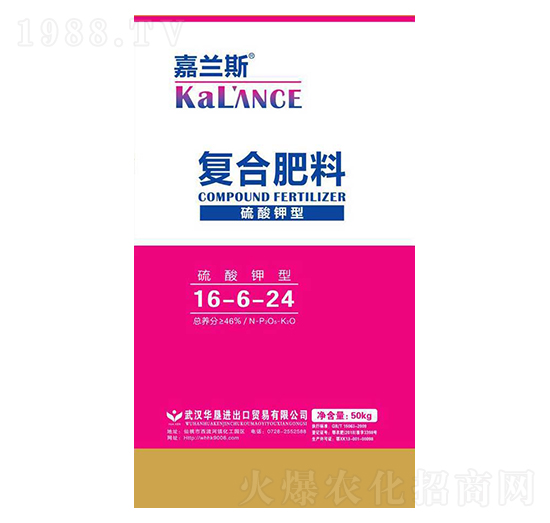 ������͏�(f��)�Ϸ���16-6-24-���m˹-�A��