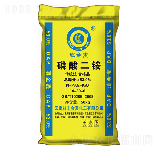 53%������@-�����-���黯��