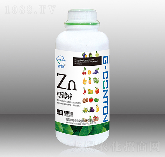 1000gG-CONTON�������\-��ұ�-�A����