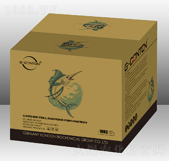 G-CONTON���~����-�A����