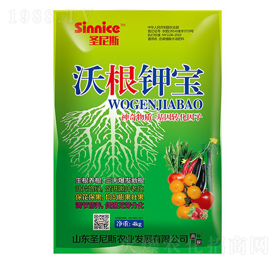 �ָ�⛌�-��̩�tţ