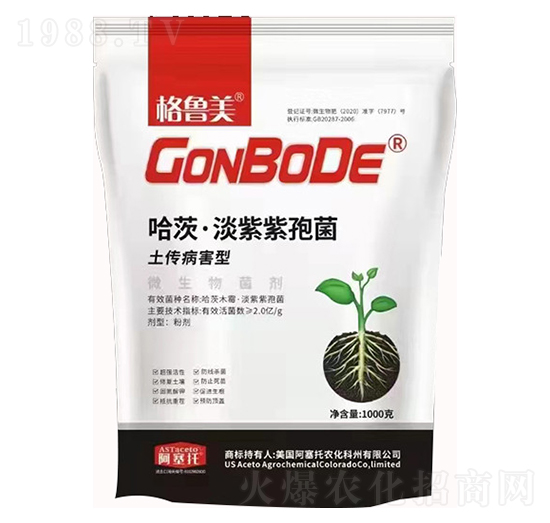 ���ġ��������߾�-������-������