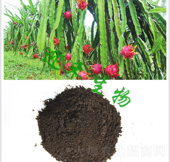 ��������(zhu��n)�÷�-ӭ������