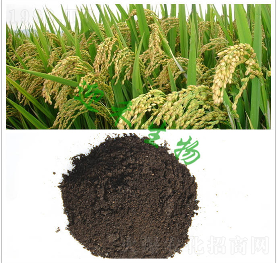 ˮ���ЙC(j��)��-ӭ������