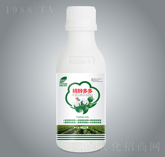 ��⏶��-Ӣ¶�����S