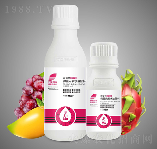 �p�������\�f-Ӣ¶�����S