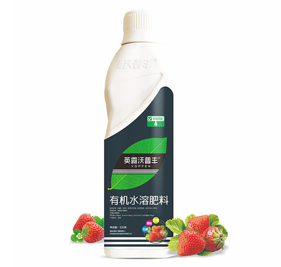 草莓需配有機(jī)水溶肥料-英露沃普豐