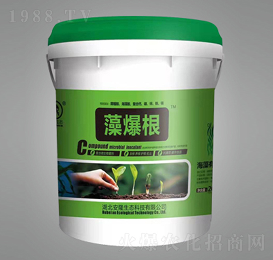 藻爆根-安隆生態(tài)