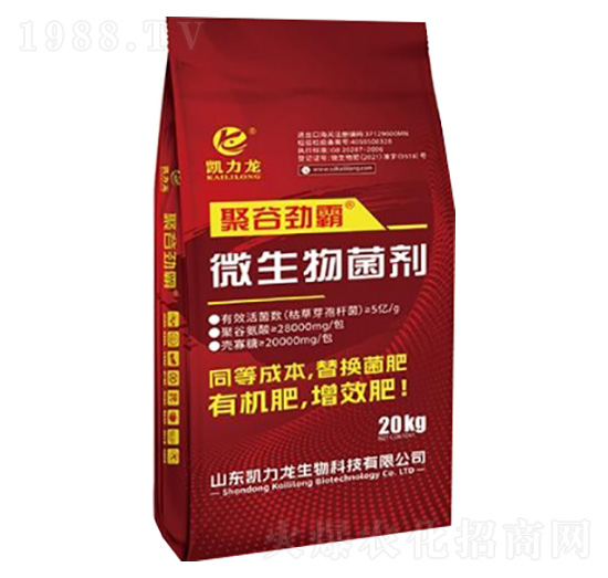 ΢�������-�۹ȄŰ�-�P����