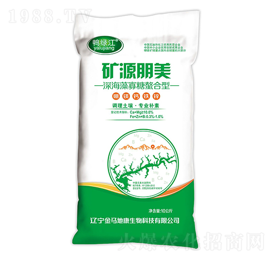 ���������������V�}�F�\-�VԴ����-���R�ؿ�