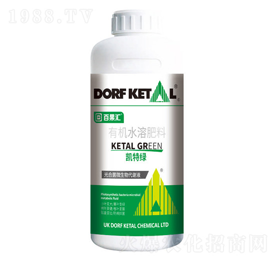 �P�ؾG-����P��