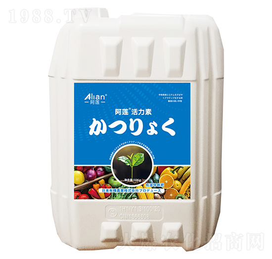 ΢�������-������-��ɏ-���r��